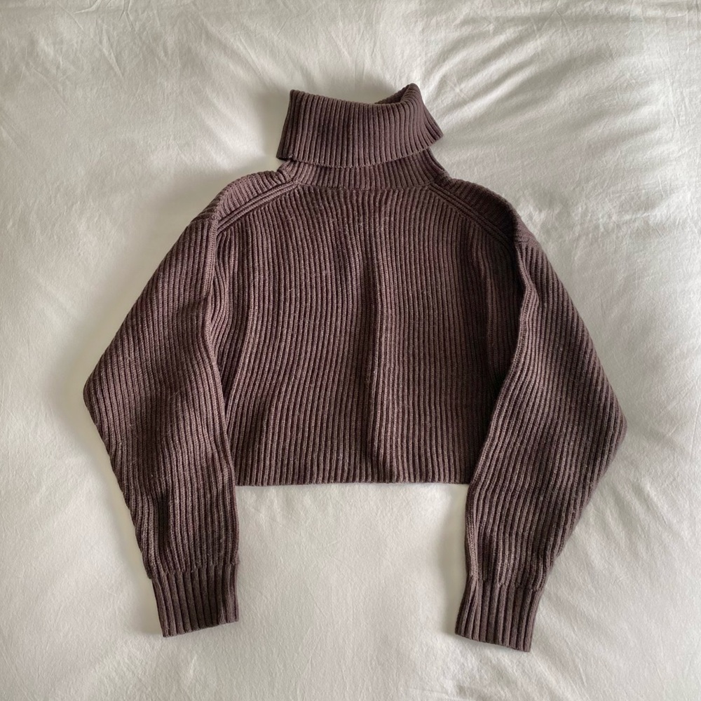 Aritzia Babaton Guell Merino Wool Cropped Sweater